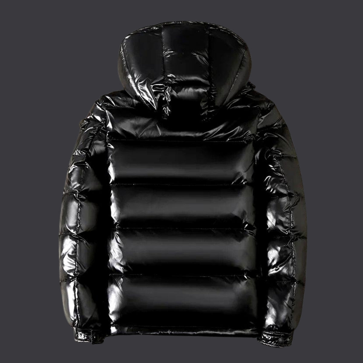 Sophia - Gloss Winter Coat