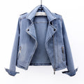 Tussenjas Dames van Denim met Asymmetrische Rits en Reverskraag